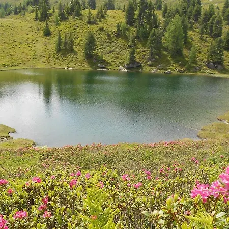 Kalsbergerin Fuer Geniesser Apartament Donnersbachwald