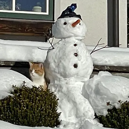 Apartament Kalsbergerin Fuer Geniesser