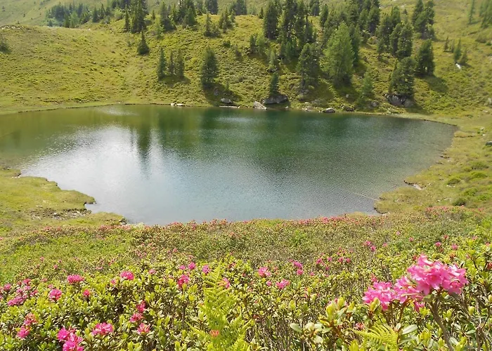 Kalsbergerin Für Genießer Apartamento Donnersbachwald