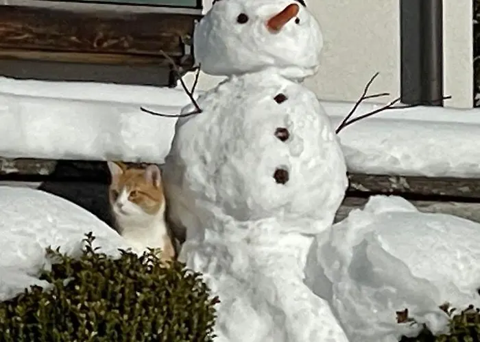 Apartamento Kalsbergerin Für Genießer